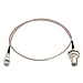 ABONIX RG178 Mini BNC Male to BNC Female Cable 2FT (60cm) - Pack- 1